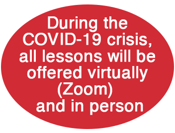 covid-ellipse-hyrid2